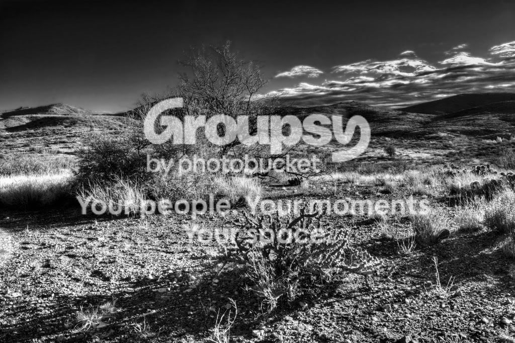 Lastshothdr_MG_4680_1_2.jpg