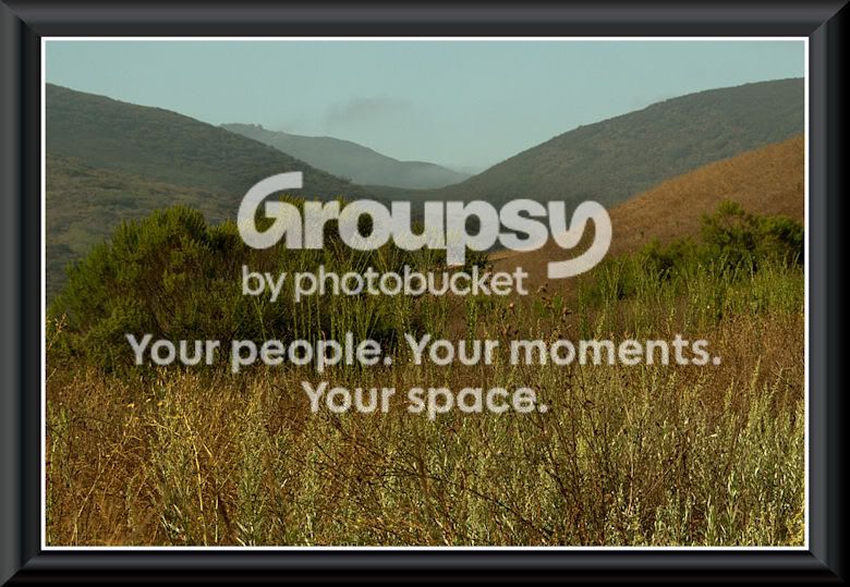 view1web-1.jpg