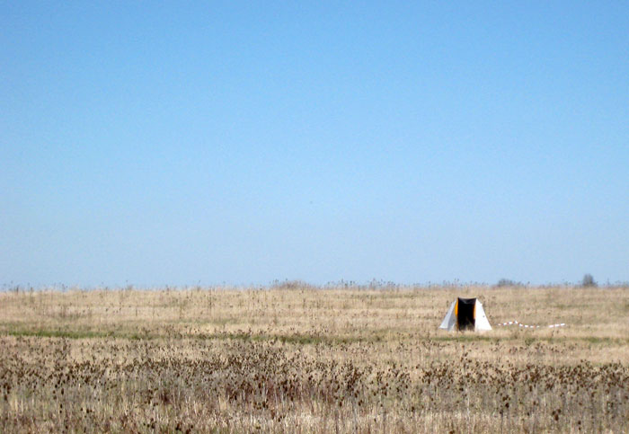 3420299972_98c5a53391_o.jpg