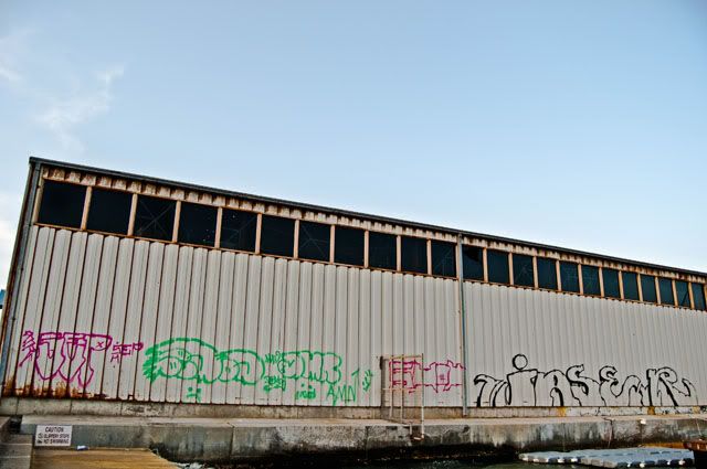DSC_9948.jpg
