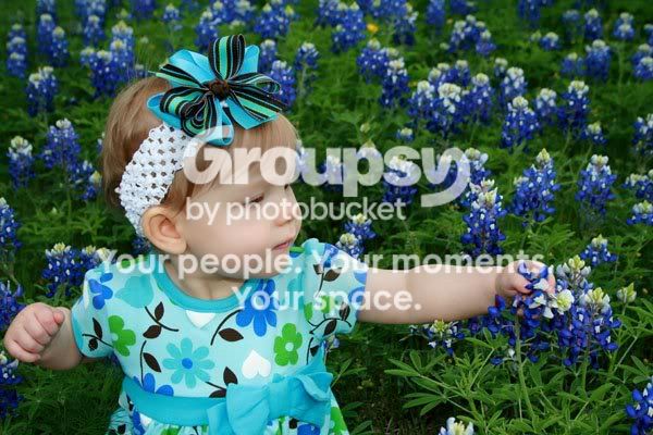 bluebonnets2.jpg