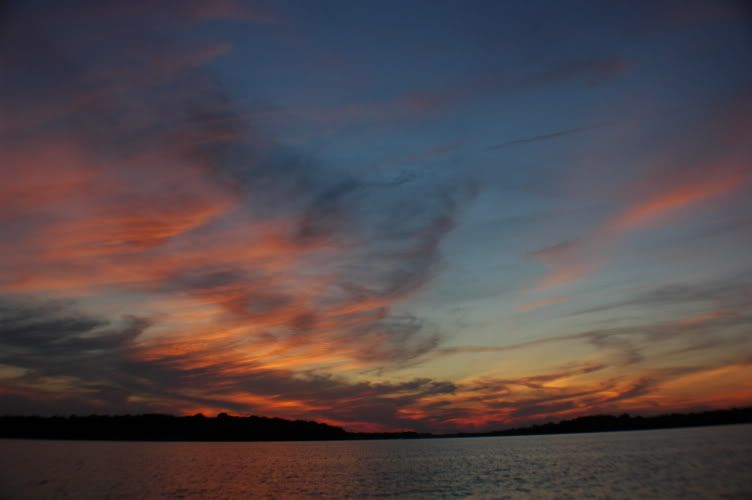 DSC_0105.jpg