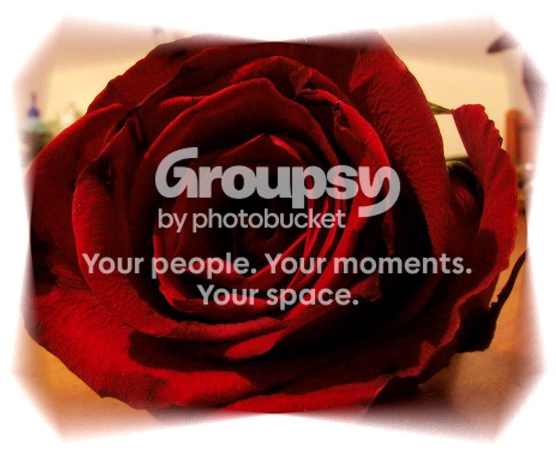 RoseDesign.jpg