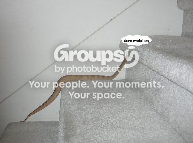 IMG_1348copy.jpg