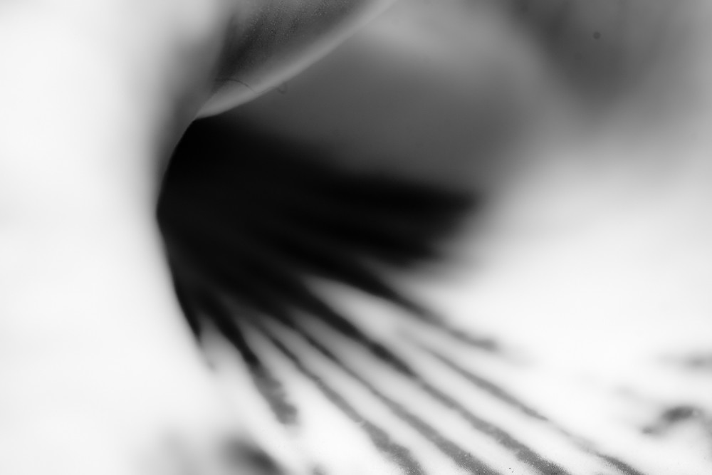 5516002248_b06e445e1f_b.jpg