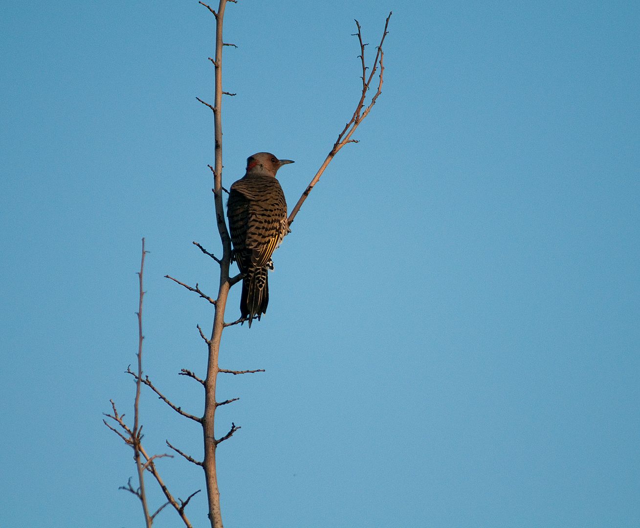 DSC_8148.jpg