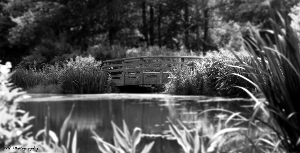 bridgebwwm_zpsc56d45f8.jpg
