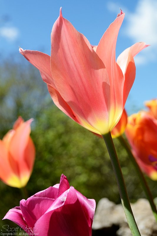 2013-04-20-35.jpg