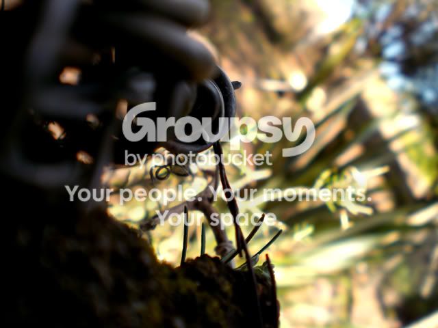 CIMG3556copy.jpg