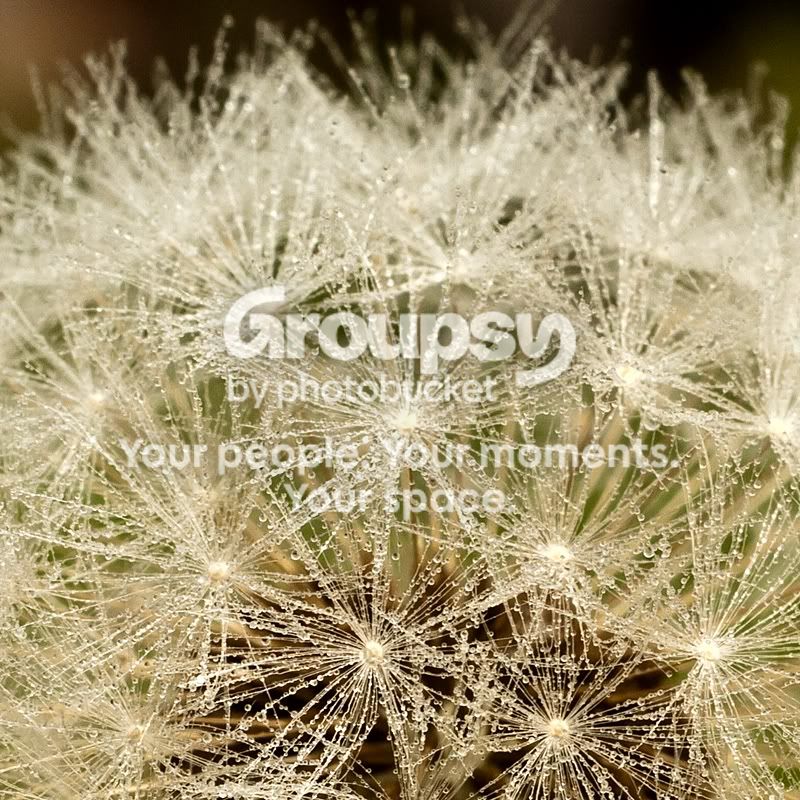 crop-1060360sm.jpg