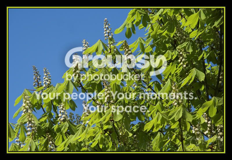 MayColour01.jpg