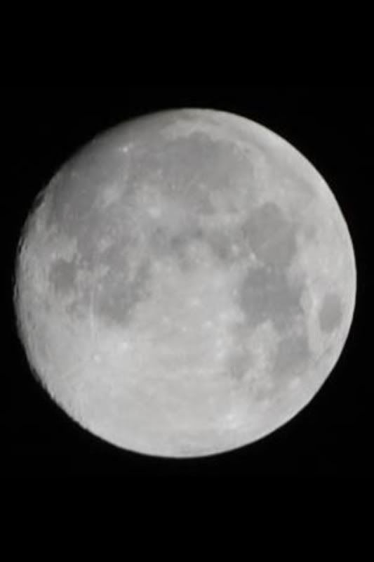 268f899a.jpg