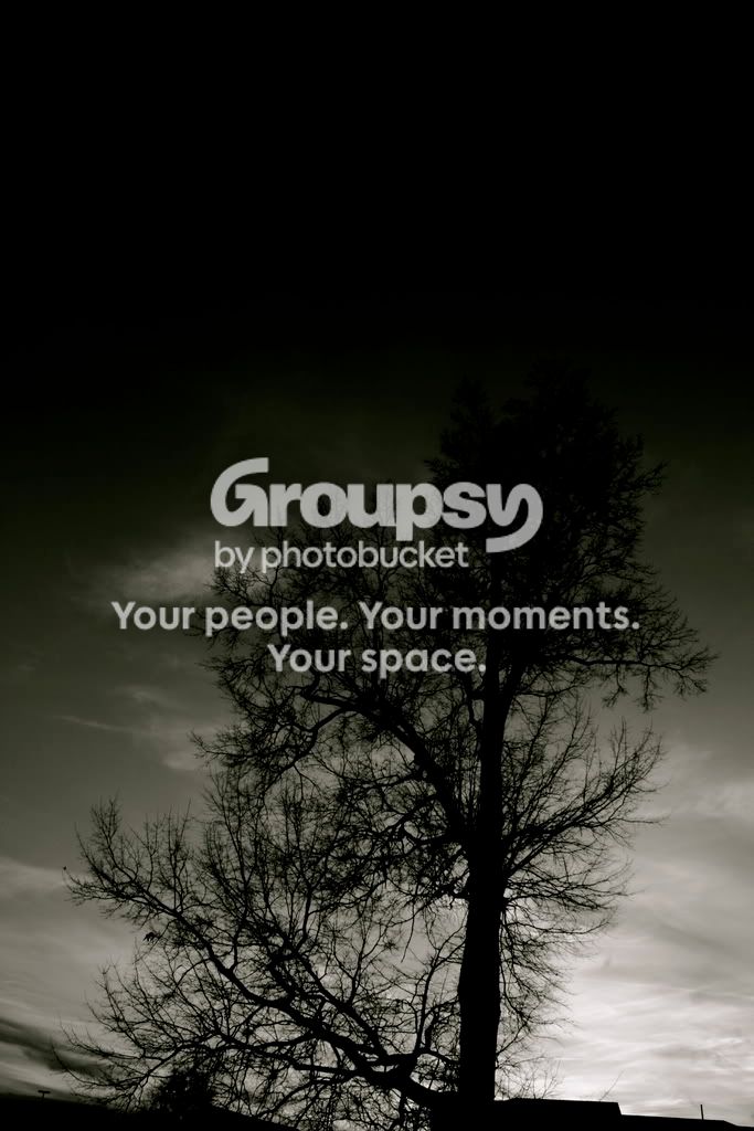 IMG_2403.jpg