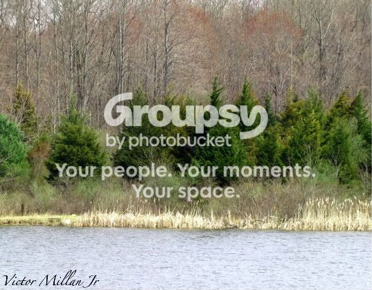Picture422-1-1.jpg