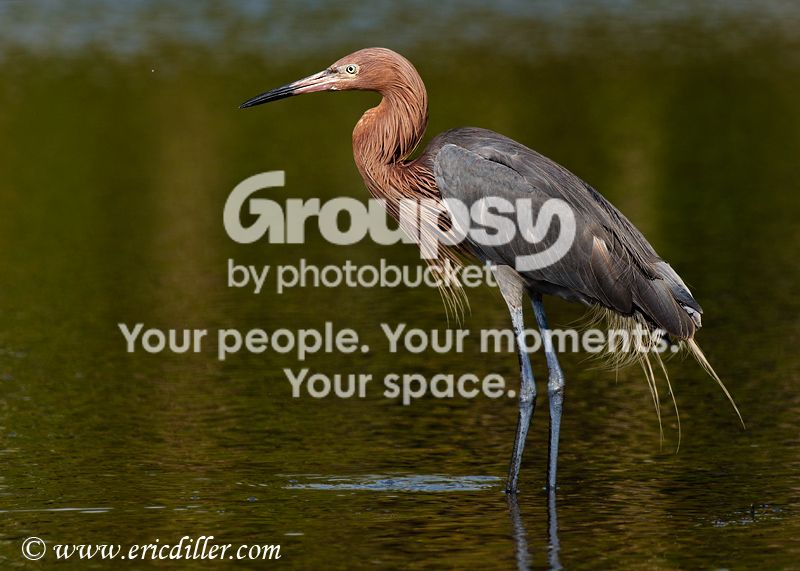 _ECD1523-copy800.jpg