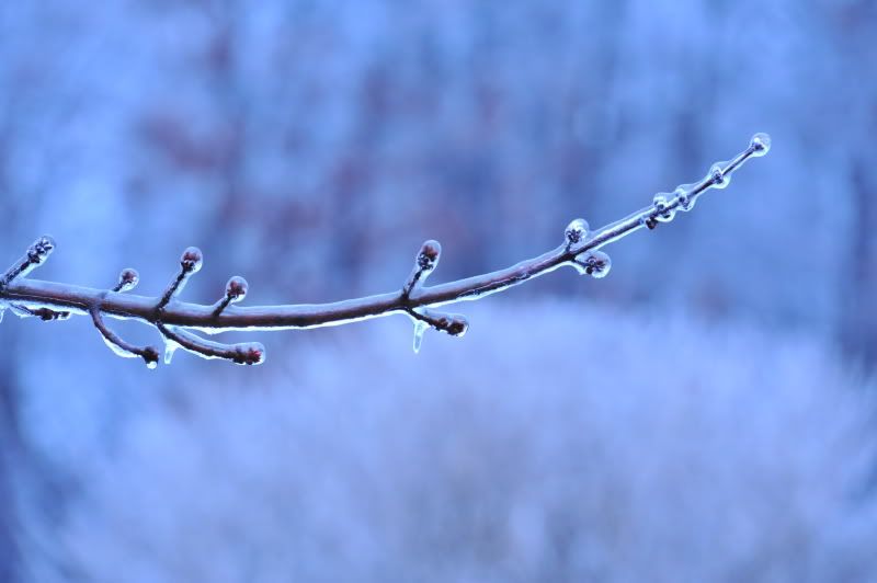DSC_1056.jpg