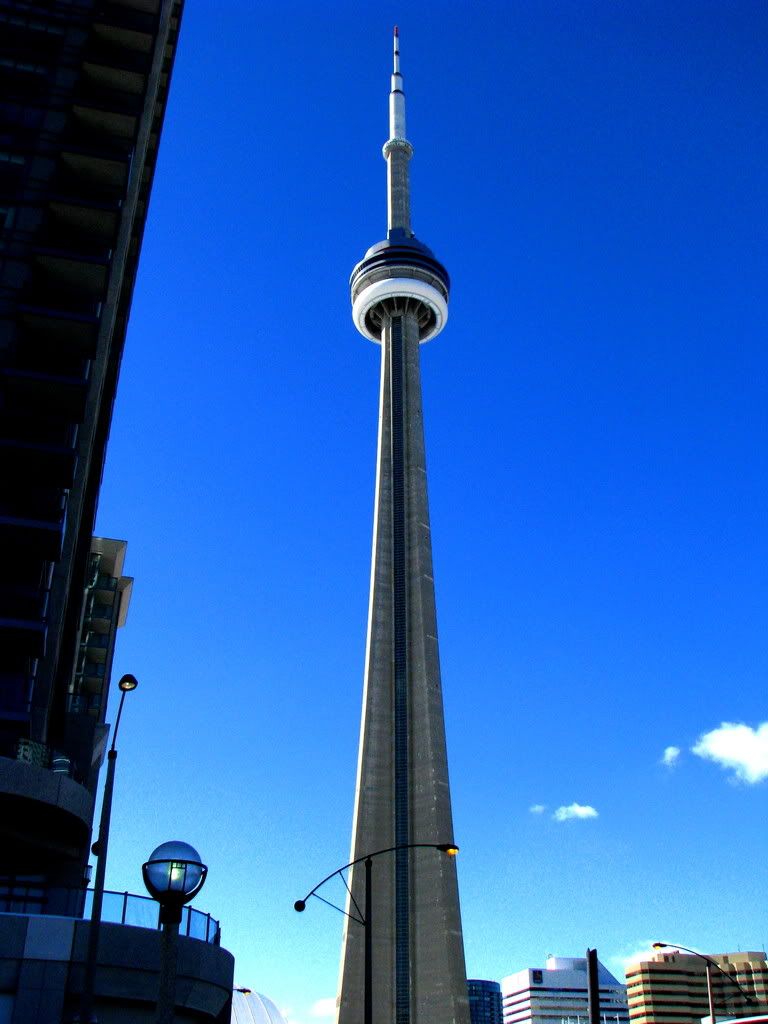 IMG_127999.jpg