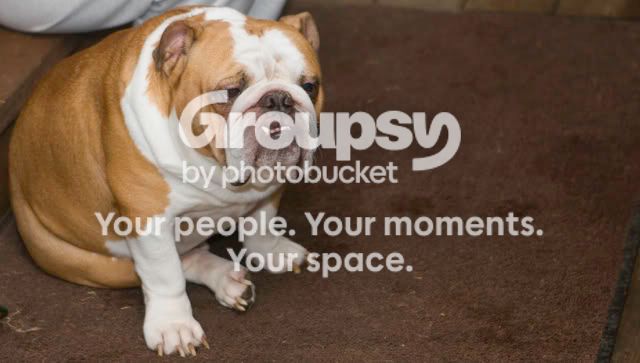 Winstonoutside.jpg