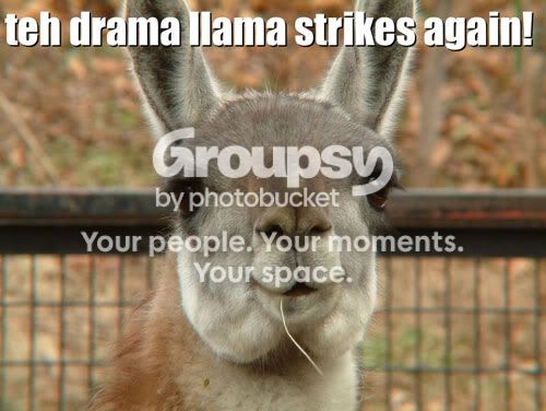 dramallama.jpg