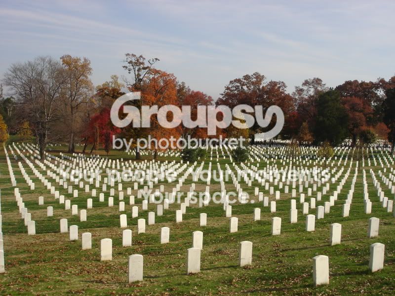 marilyngene096.jpg