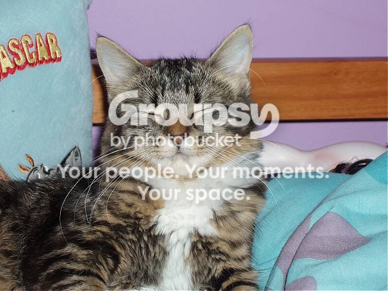 gabbie.jpg