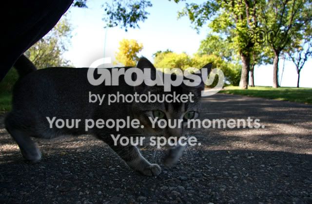 IMG_5666ccopy.jpg