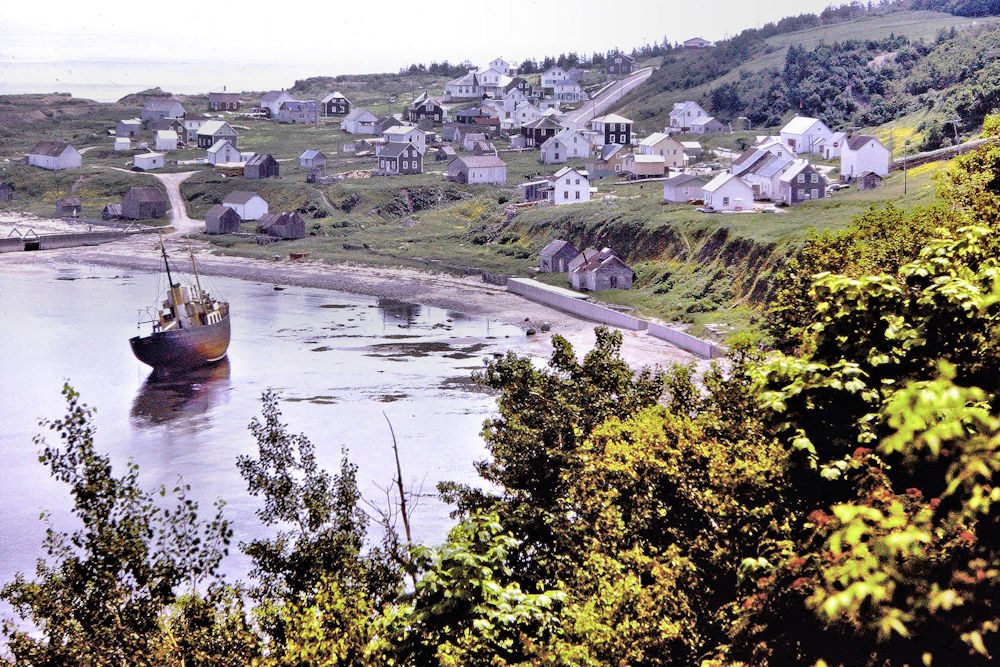 PICT1218a.jpg