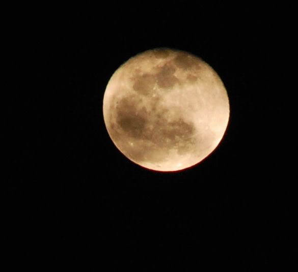 moon.jpg
