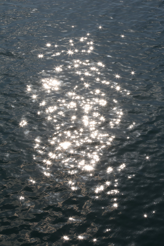 648C9247-X2.jpg