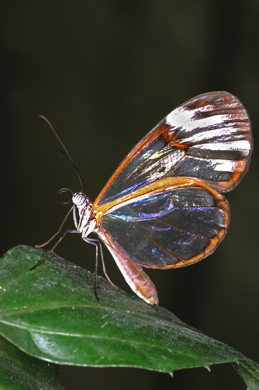 zoo09.jpg