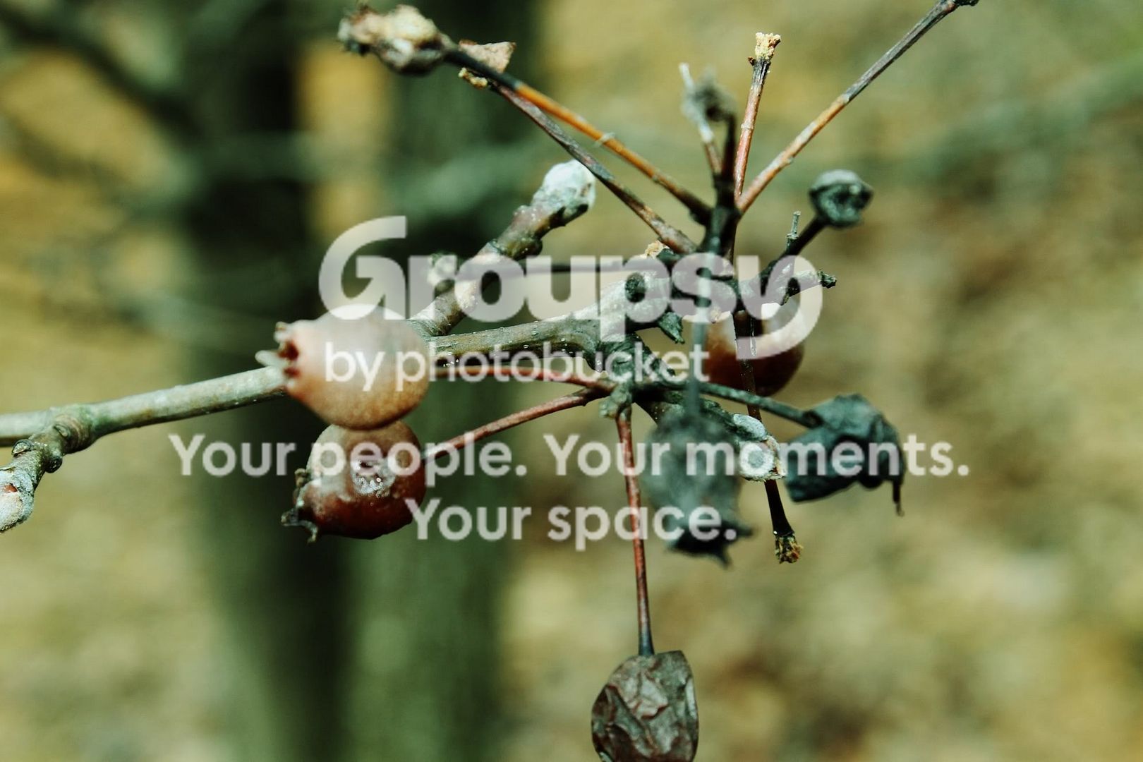 Nature015.jpg