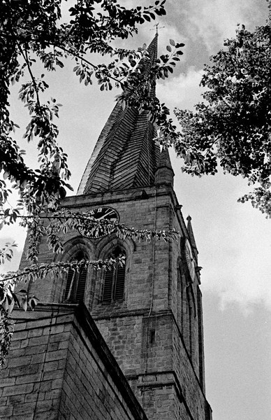 img118-L.jpg