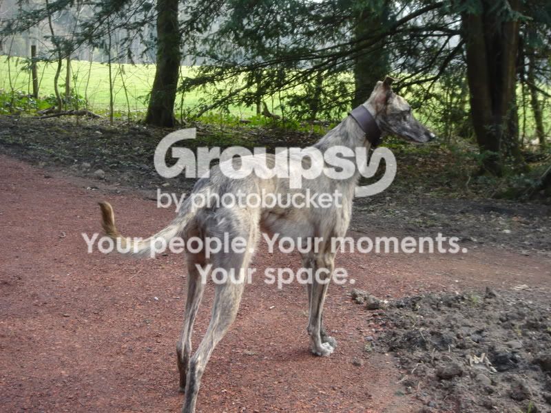 walk004.jpg
