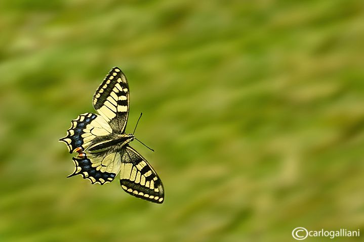 155287154_JfugqXV9_ABD_912312.jpg