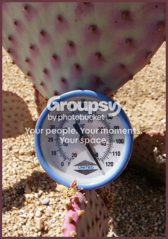 130degreesinPhoenix.jpg