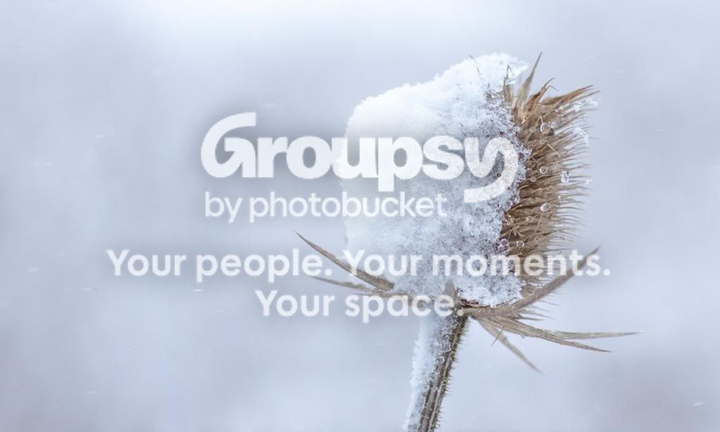 SnowWeed2.jpg