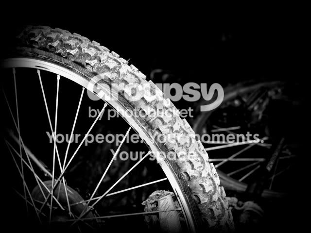 blackandwhite090.jpg