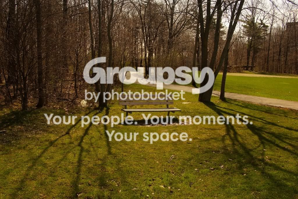 Copyofbench.jpg