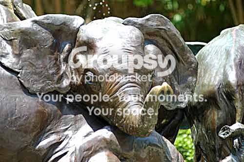 Elephant2.jpg