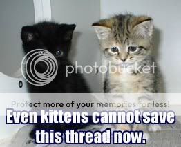 Kittens-KittensLookingSadEvenKitten.jpg