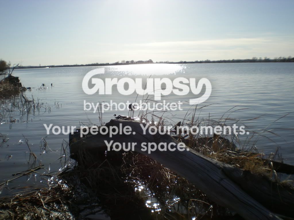 DSCN0760.jpg