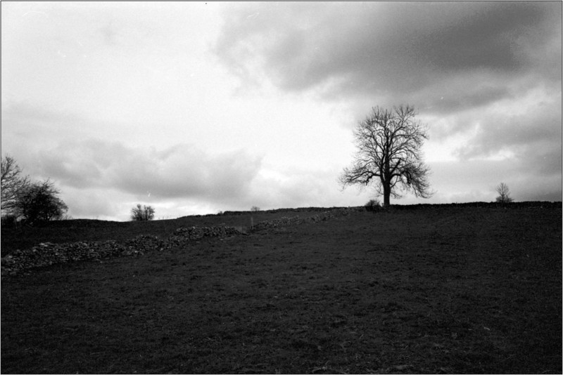 scan484-L.jpg