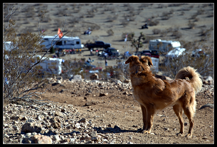 DSC_0011ppweb.png