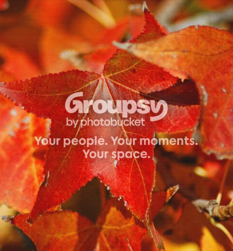 autum003.jpg