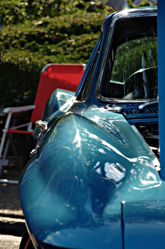 DSC_0113.jpg