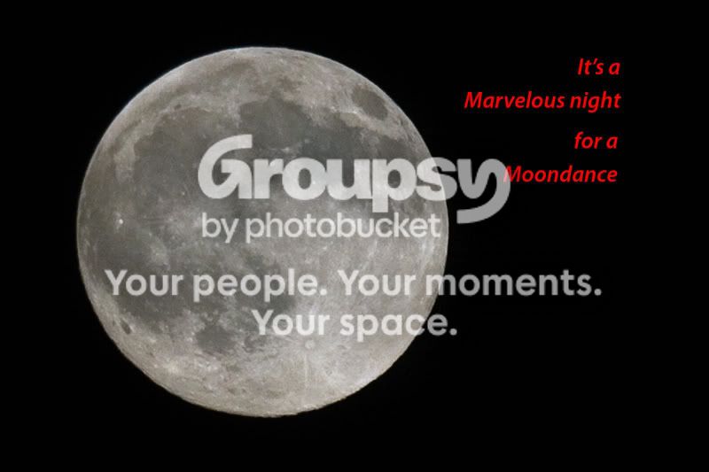 Moondance.jpg