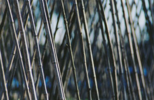Angleofview_210mm_f4.jpg