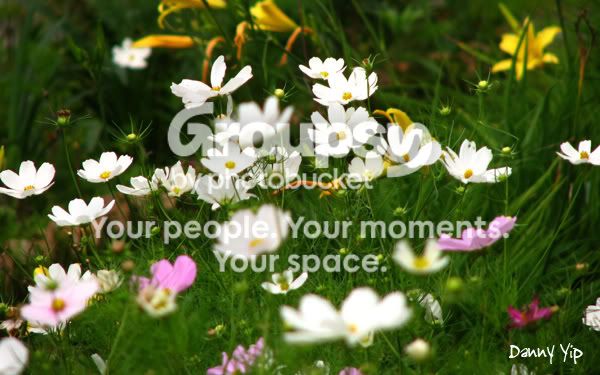 Flowers11.jpg