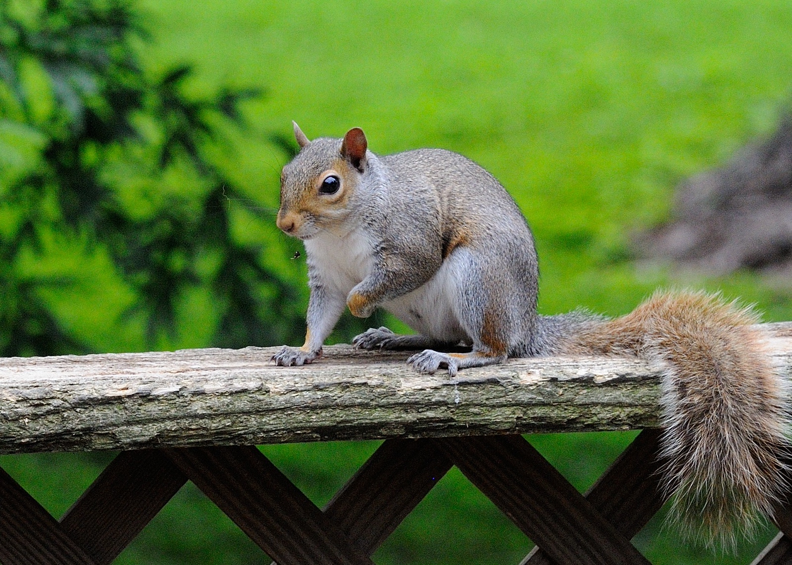 DSC_00005-X3.jpg