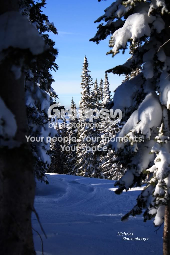 SkiinginCO735copy.jpg